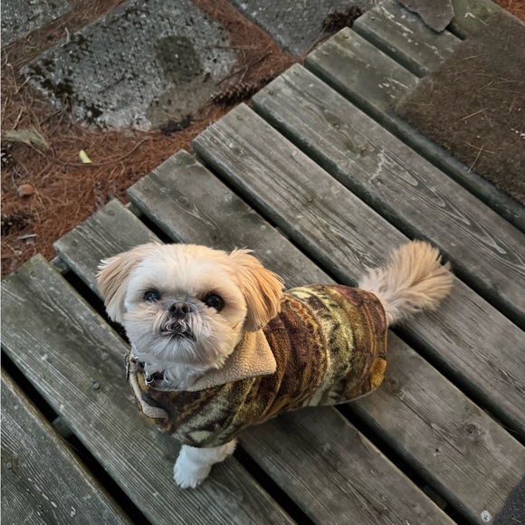 Meet your Posher, Andie - Picture 1 of 1